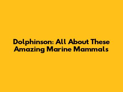 Dolphinson: All About These Amazing Marine Mammals
