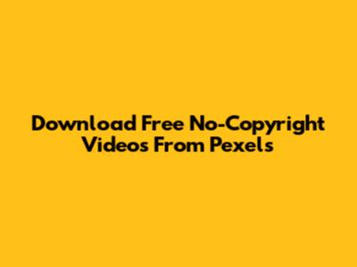 Download Free No-Copyright Videos From Pexels