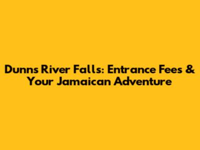 Dunn's River Falls: Entrance Fees & Your Jamaican Adventure