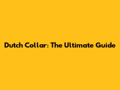 Dutch Collar: The Ultimate Guide