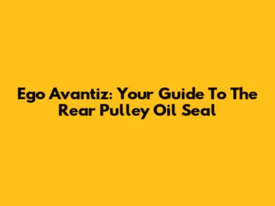Ego Avantiz: Your Guide To The Rear Pulley Oil Seal