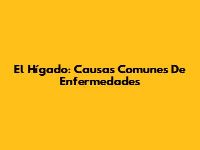 El Hígado: Causas Comunes De Enfermedades
