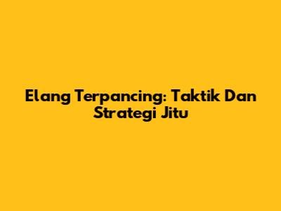 Elang Terpancing: Taktik Dan Strategi Jitu