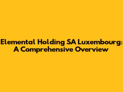Elemental Holding SA Luxembourg: A Comprehensive Overview