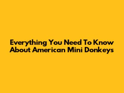 Everything You Need To Know About American Mini Donkeys