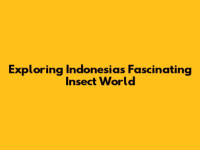 Exploring Indonesia's Fascinating Insect World