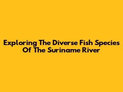 Exploring The Diverse Fish Species Of The Suriname River