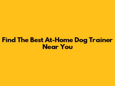 Find The Best At-Home Dog Trainer Near You