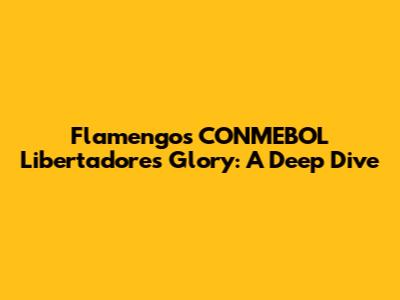 Flamengo's CONMEBOL Libertadores Glory: A Deep Dive
