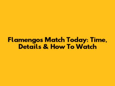 Flamengo's Match Today: Time, Details & How To Watch