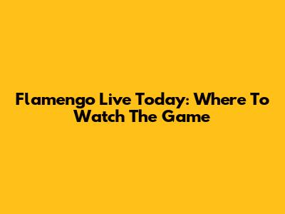 Flamengo Live Today: Where To Watch The Game