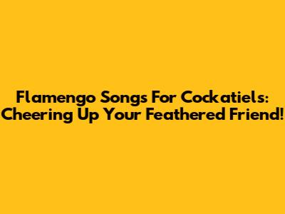 Flamengo Songs For Cockatiels: Cheering Up Your Feathered Friend!