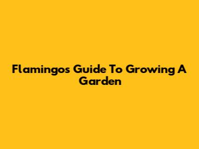 Flamingo's Guide To Growing A Garden