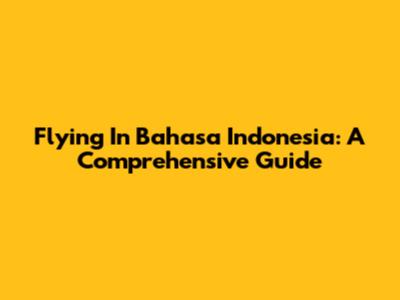 Flying In Bahasa Indonesia: A Comprehensive Guide