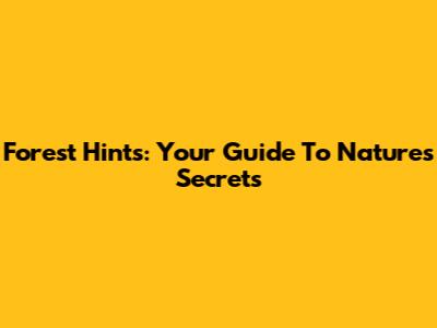 Forest Hints: Your Guide To Nature's Secrets