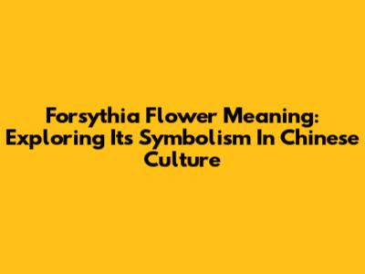 Forsythia Flower Meaning: Exploring Its Symbolism In Chinese Culture