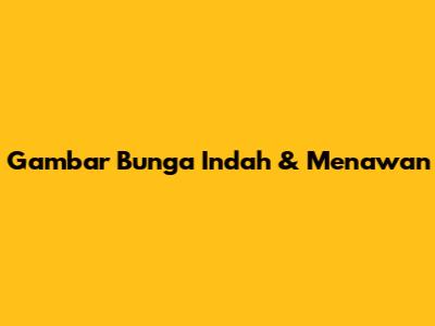 Gambar Bunga Indah & Menawan