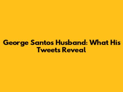 George Santos Husband: What His Tweets Reveal