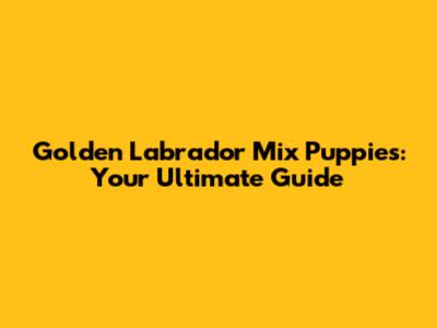 Golden Labrador Mix Puppies: Your Ultimate Guide