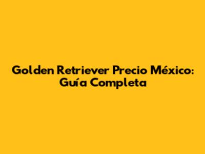 Golden Retriever Precio México: Guía Completa