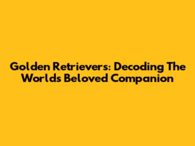 Golden Retrievers: Decoding The World's Beloved Companion