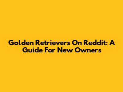 Golden Retrievers On Reddit: A Guide For New Owners