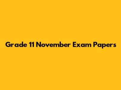 Grade 11 November Exam Papers