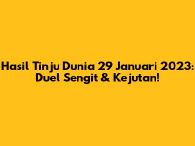 Hasil Tinju Dunia 29 Januari 2023: Duel Sengit & Kejutan!