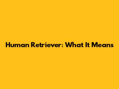 Human Retriever: What It Means