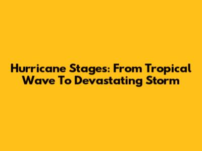 Hurricane Stages: From Tropical Wave To Devastating Storm