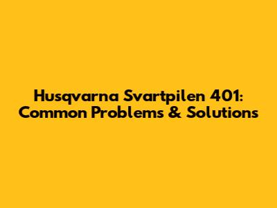 Husqvarna Svartpilen 401: Common Problems & Solutions