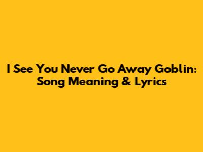 I See You Never Go Away Goblin: Song Meaning & Lyrics