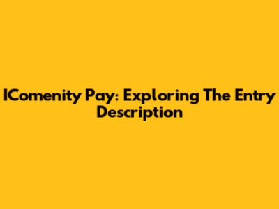 IComenity Pay: Exploring The Entry Description