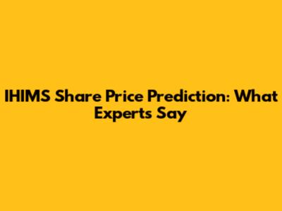IHIMS Share Price Prediction: What Experts Say