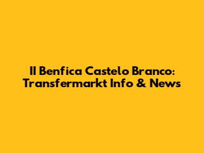 II Benfica Castelo Branco: Transfermarkt Info & News
