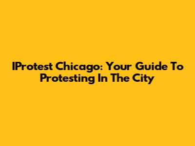 IProtest Chicago: Your Guide To Protesting In The City