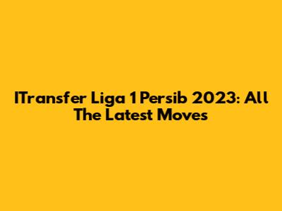 ITransfer Liga 1 Persib 2023: All The Latest Moves