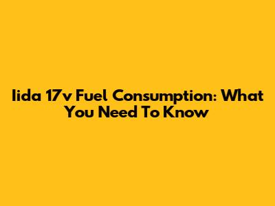 Iida 17v Fuel Consumption: What You Need To Know
