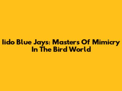 Iido Blue Jays: Masters Of Mimicry In The Bird World