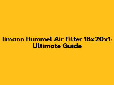Iimann Hummel Air Filter 18x20x1: Ultimate Guide