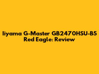 Iiyama G-Master GB2470HSU-B5 Red Eagle: Review