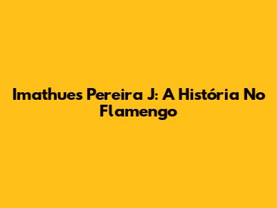 Imathues Pereira J: A História No Flamengo
