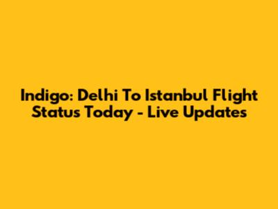 Indigo: Delhi To Istanbul Flight Status Today - Live Updates