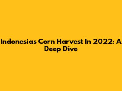 Indonesia's Corn Harvest In 2022: A Deep Dive