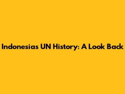 Indonesia's UN History: A Look Back