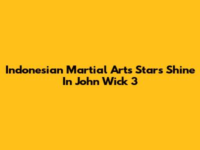Indonesian Martial Arts Stars Shine In John Wick 3