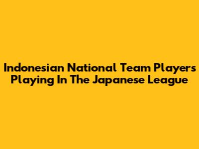 Indonesian National Team Players Playing In The Japanese League