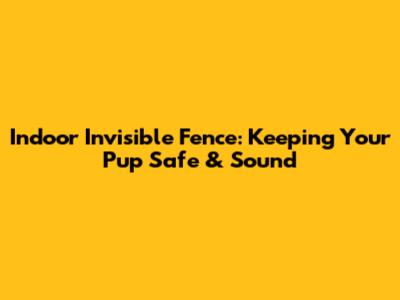 Indoor Invisible Fence: Keeping Your Pup Safe & Sound