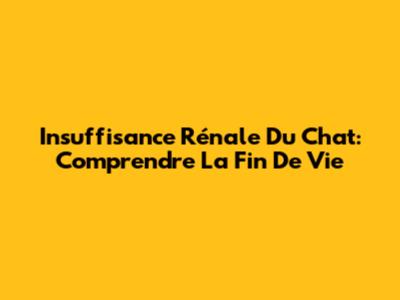 Insuffisance Rénale Du Chat: Comprendre La Fin De Vie