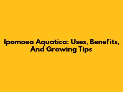 Ipomoea Aquatica: Uses, Benefits, And Growing Tips